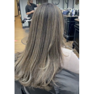 Light Cold Ash Blonde 8.1b