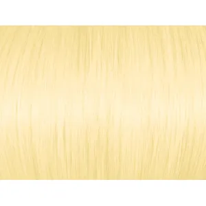 Highlight Intense Golden Blonde 100.3