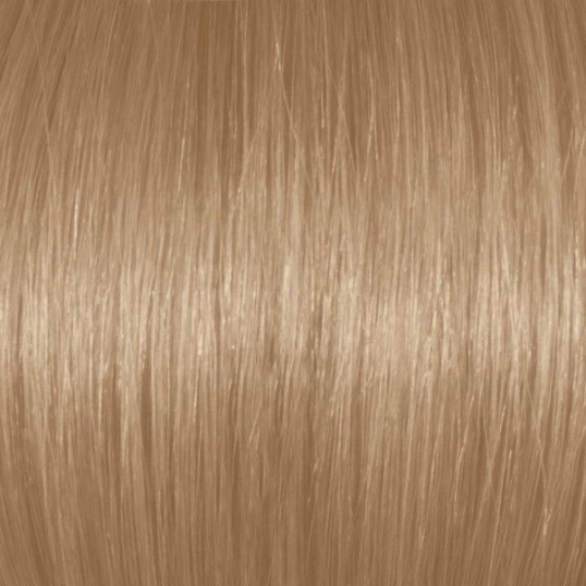 Professional Hair Color with Argan oil | Light Natural Blonde 8N