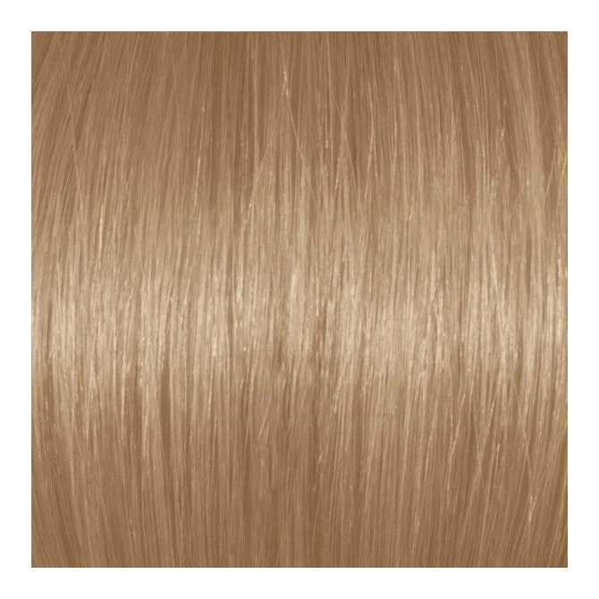 Voorzieningen Beperkingen Wiegen Professional Hair Color with Argan oil | Light Natural Blonde 8N