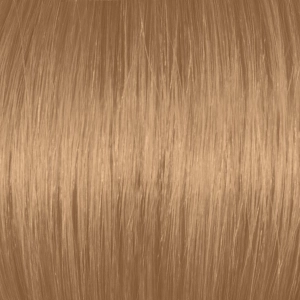 Light Beige Blonde 8GA/8.31