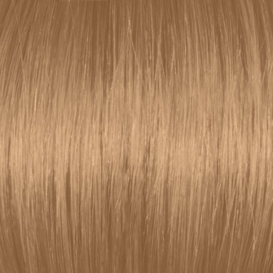 Light Beige Blonde 8ga 8 31