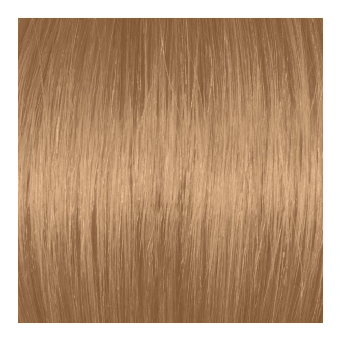 Light Beige Blonde 8GA/8.31.