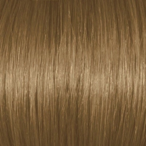 Chestnut Blonde 7Br/7.7