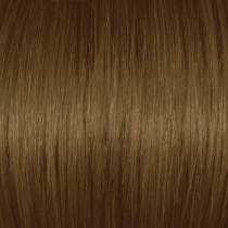 Dark Chestnut Blonde 6Br/6.7