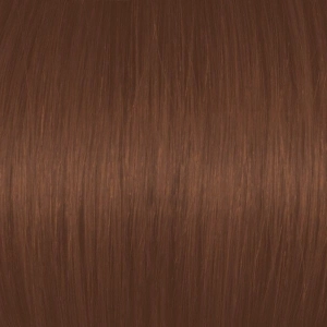 Dark Mocha Golden Blonde 6BrG/6.73