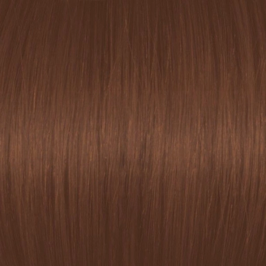 Dark Mocha Golden Blonde 6BrG/6.73