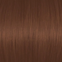 Dark Mocha Golden Blonde 6BrG/6.73