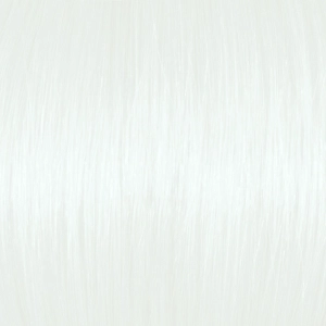10.1B 10.1B