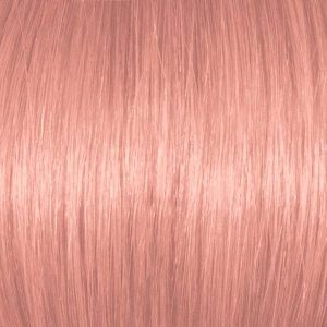 Rose Gold Rose Gold
