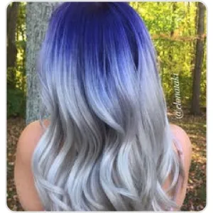 Blue Silver Shadow Root