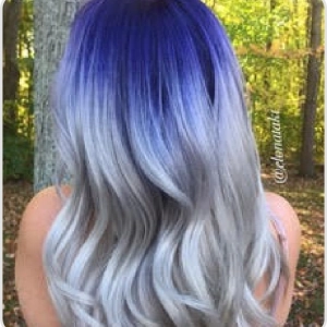 Blue Silver Shadow Root