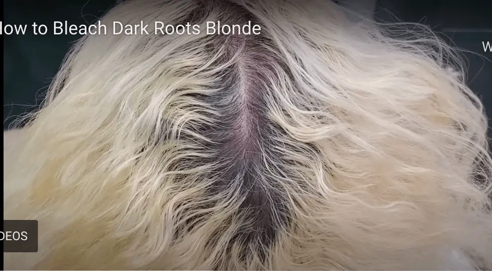 How to Bleach Your Roots - A Step by Step Guide - Ugly Duckling