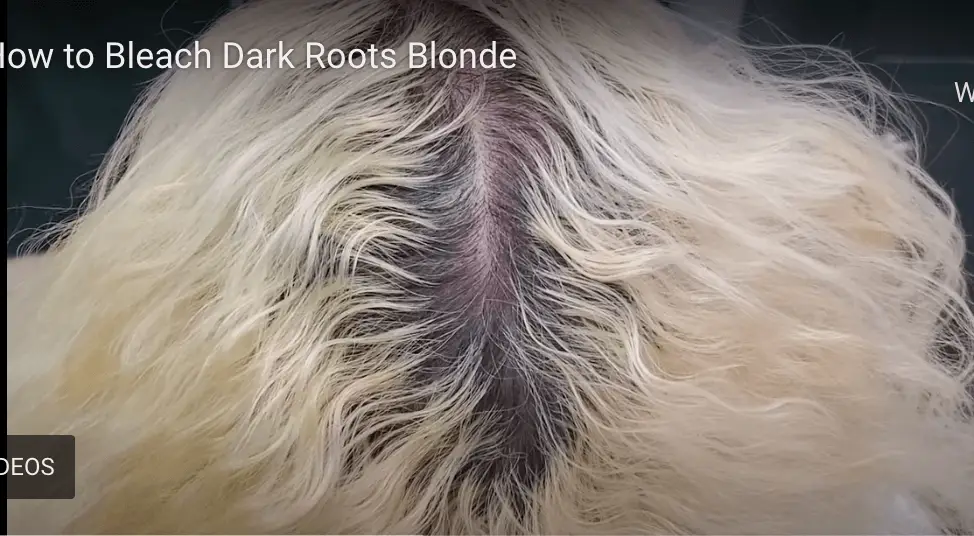 How to Bleach Your Roots - A Step by Step Guide - Ugly Duckling How to Bleach Your Roots - A Step by Step Guide - Ugly Duckling
