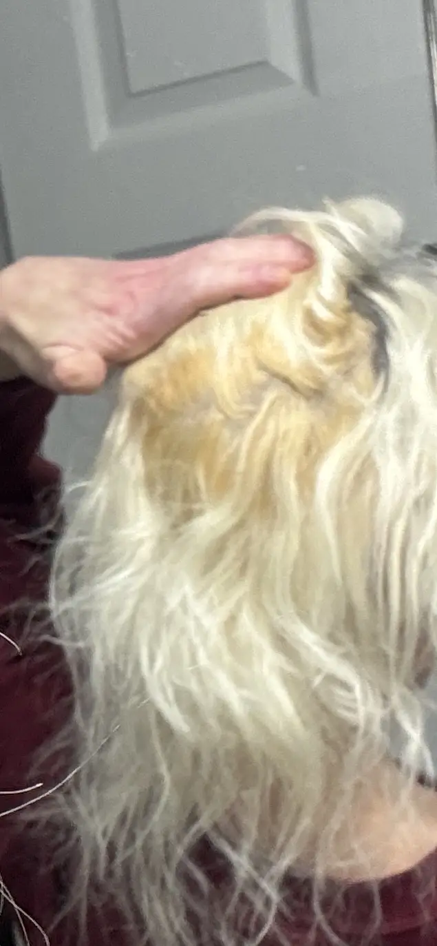 Yellow and white hair