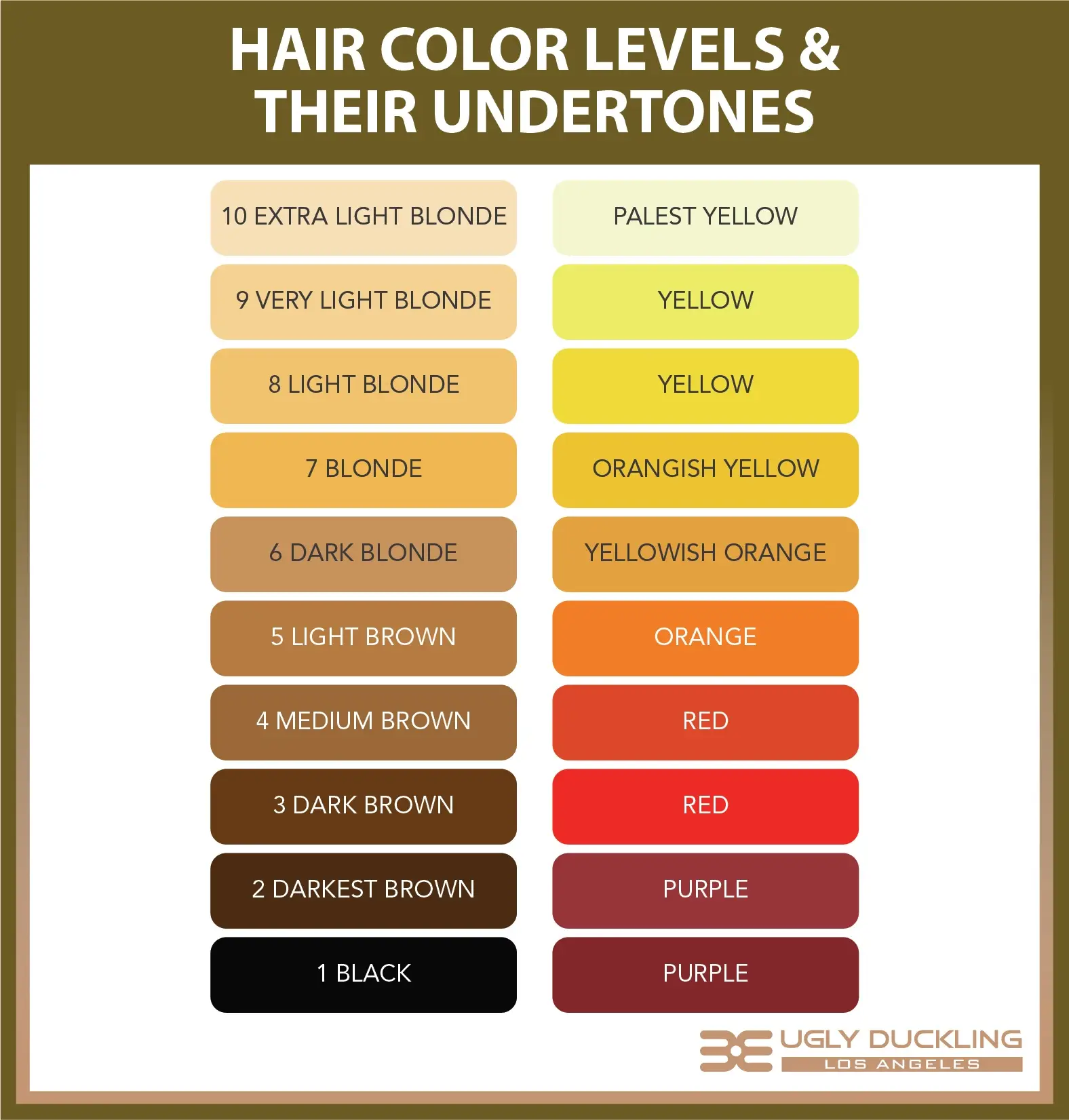 Hair color levels and their undertones