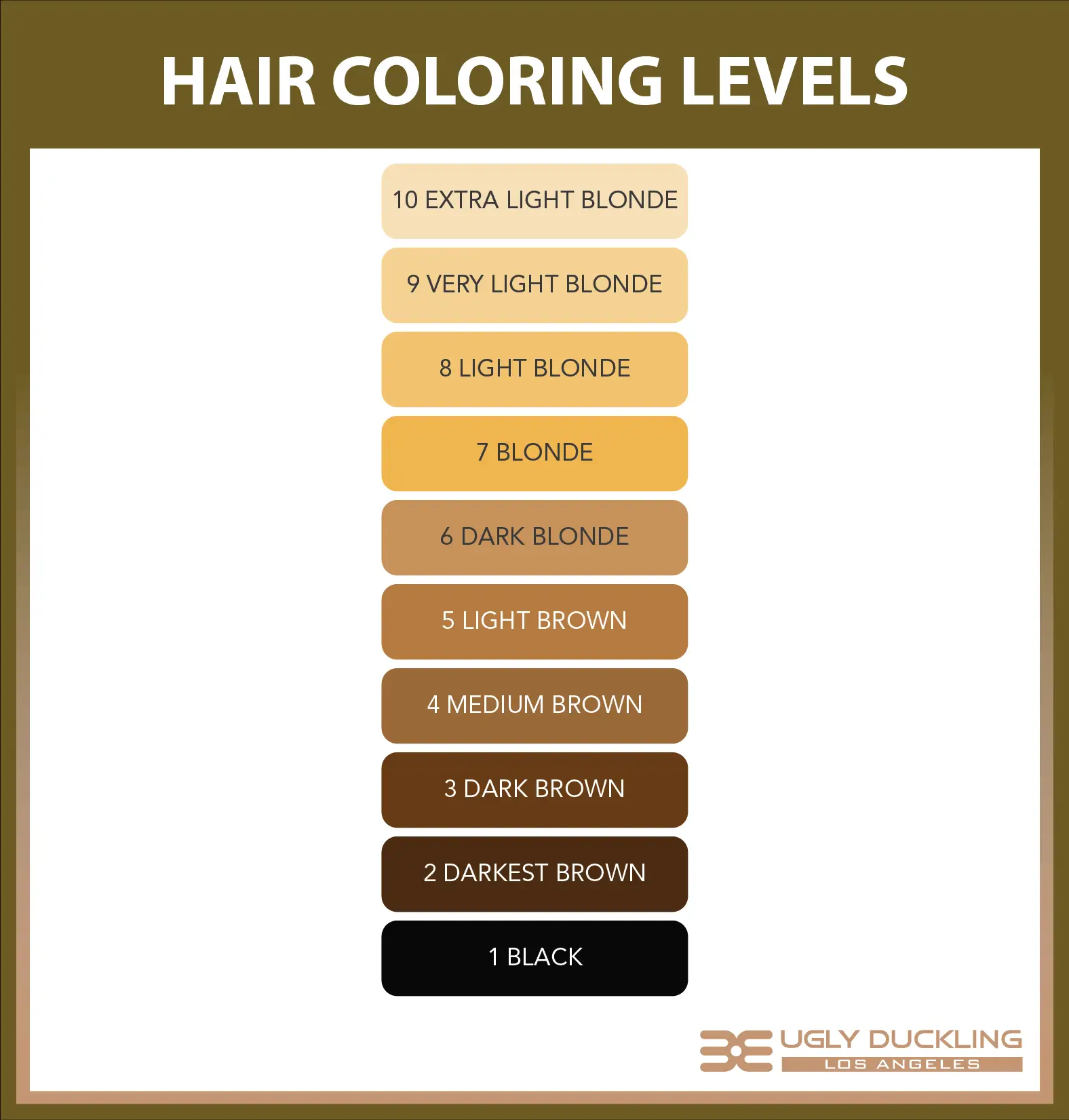 Hair Level Color Chart