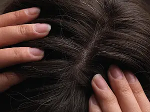 The Definitive Guide to Covering Grey Hair - Ugly Duckling The Definitive Guide to Covering Grey Hair - Ugly Duckling