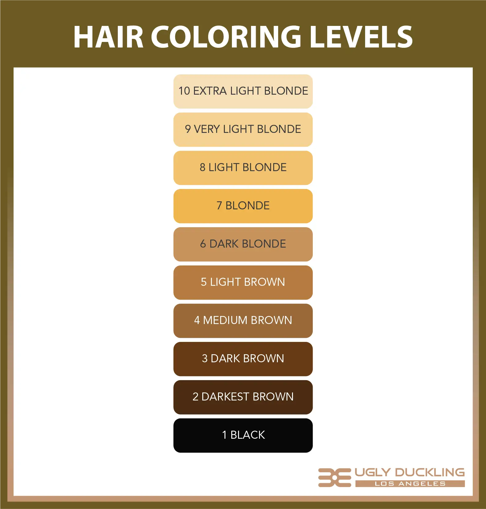 The Ugly Duckling Hair Color Chart Explained - Ugly Duckling