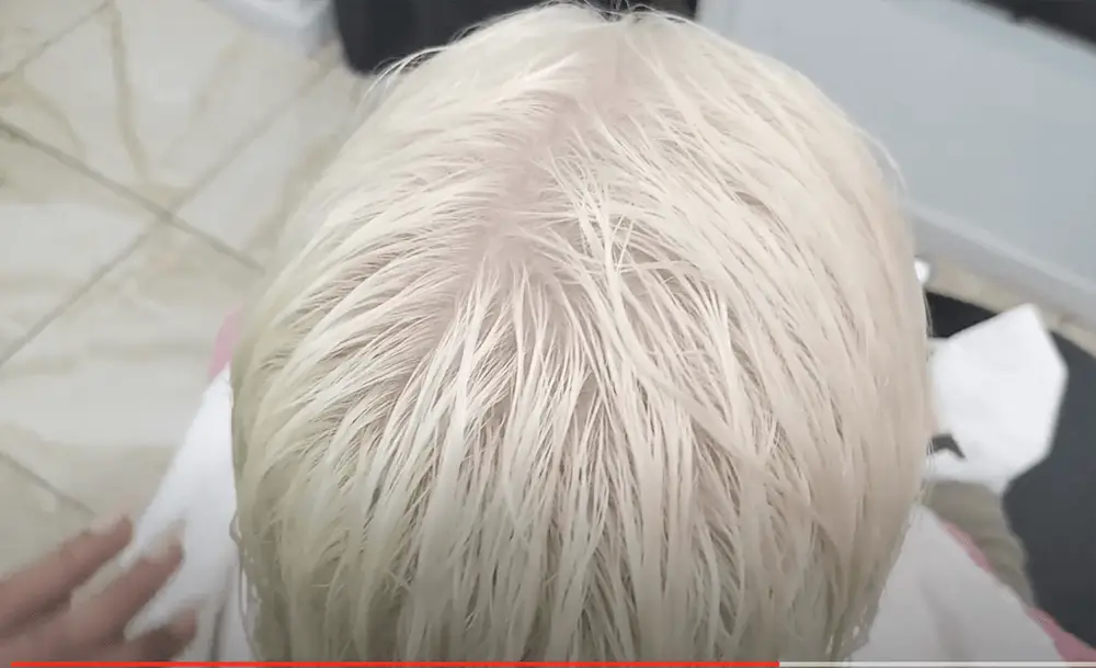 10. Platinum Blonde Elf Hair Inspiration - wide 7