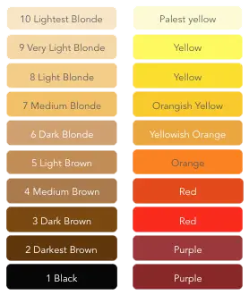 Level 9 Hair Color Chart