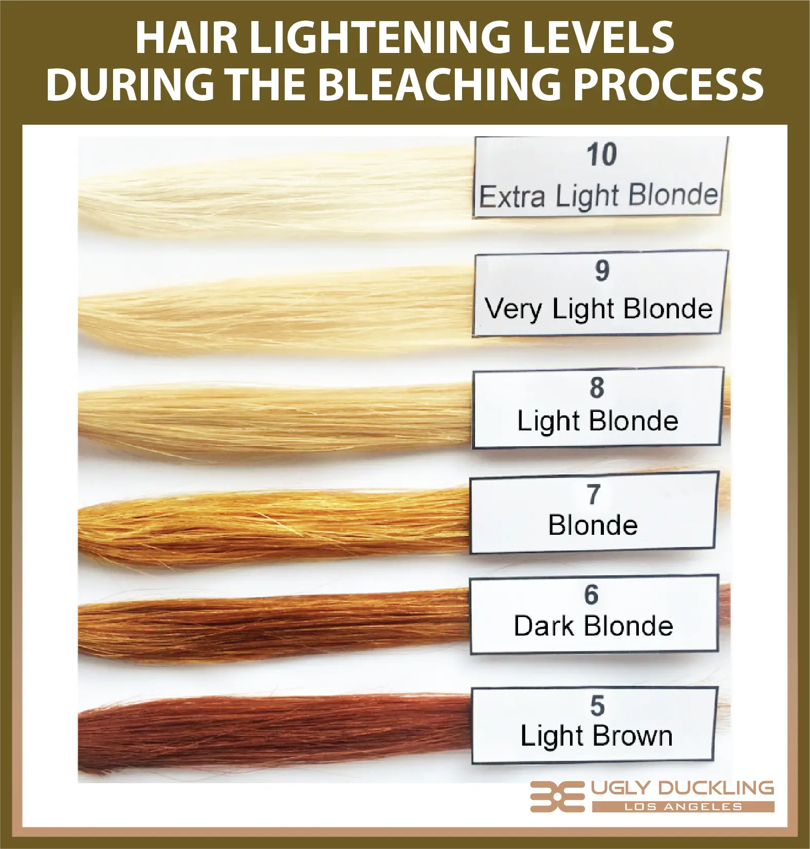 how to dye brown hair blonde - how to bleach hair 10 bleach levels of ...