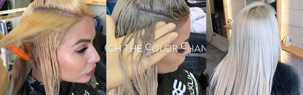 How to Color Hair Professionally Step by Step - Ugly Duckling