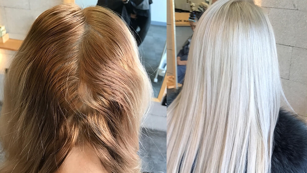 10. How to Fix Brassy Tones in Bright Silver Blonde Hair - wide 9