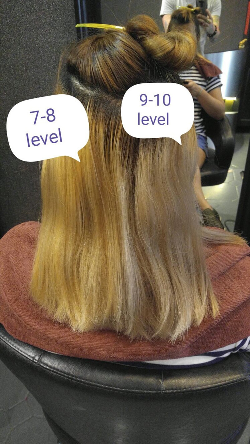 Level 8 Toners Which Get Hair Ash Blonde - Ugly Duckling