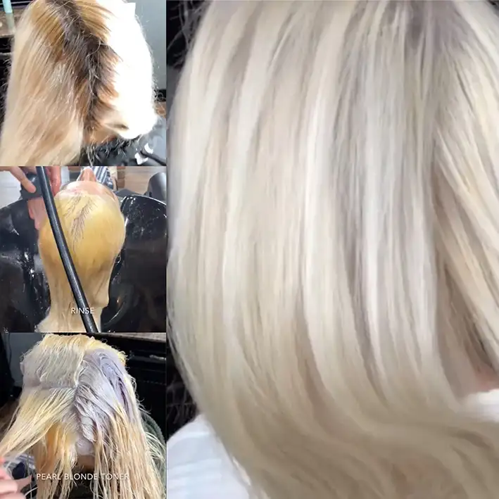 How to Color Hair Professionally Step by Step - Ugly Duckling