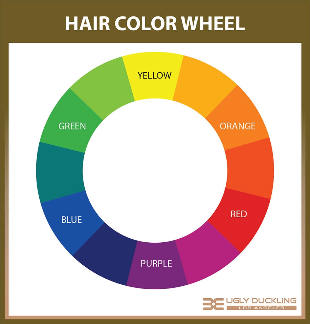 Hair Color Wheel - The Secrets to Color Neutralization & Tone Correction  that All Stylists Need to Know! - Ugly Duckling