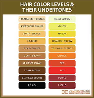 Hair Color Levels & Their Underlying Pigments