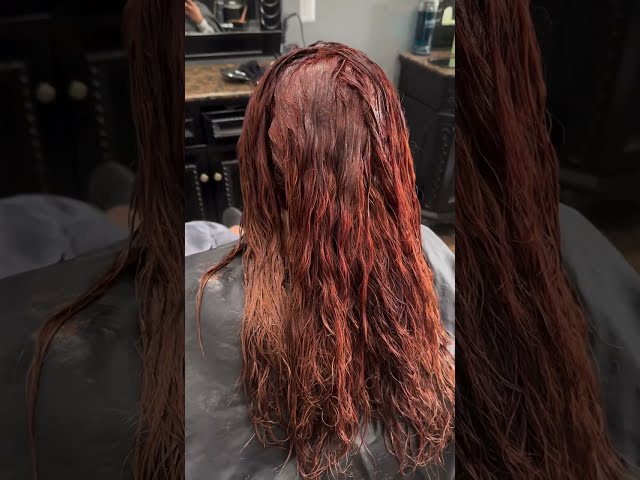 From Black To Deep Rich Red Brown 