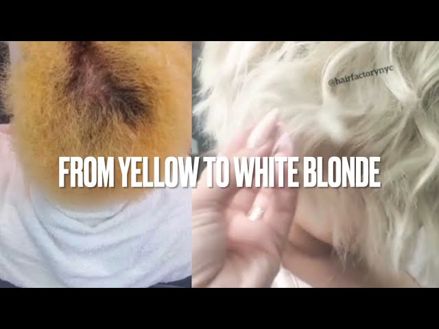 From Yellow to Intense White Blonde
